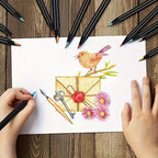 12 Rainbow Gradient Colored Pencils Dust Free