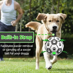 Durable PVC Dog Soccer Ball with Free Pump