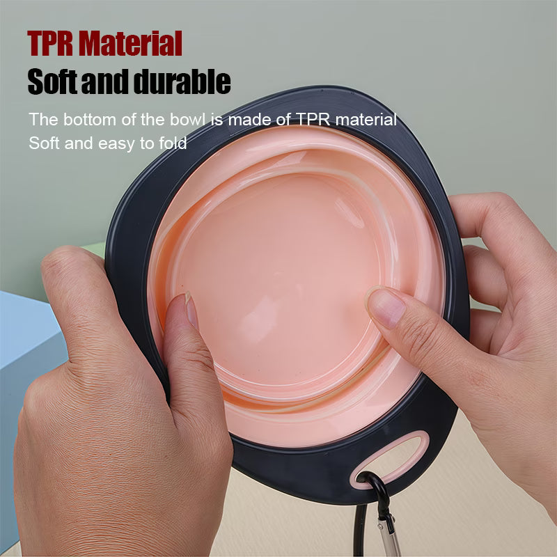 Foldable Pet Food and Water Bowl