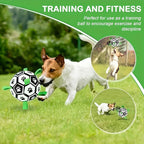 Durable PVC Dog Soccer Ball with Free Pump
