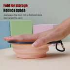Foldable Pet Food and Water Bowl