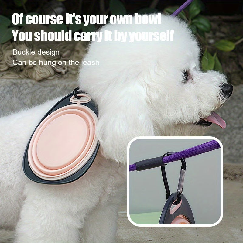 Foldable Pet Food and Water Bowl