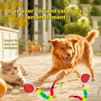 USB Rechargeable LED Rolling Cat Ball