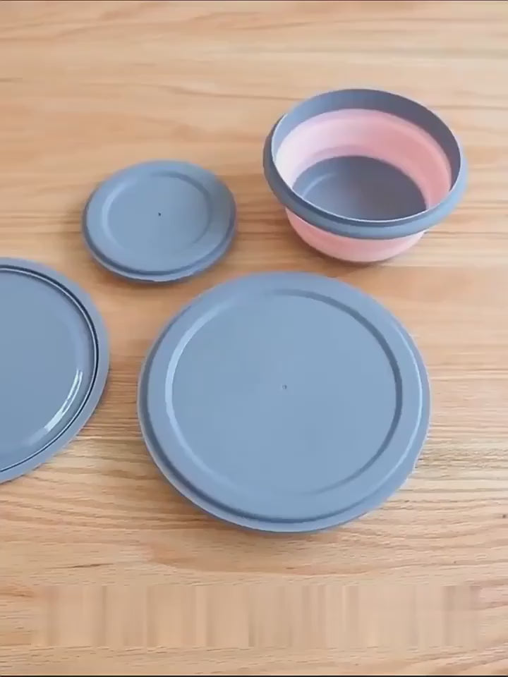 Foldable Food Storage Bowls with Lids 3 pack