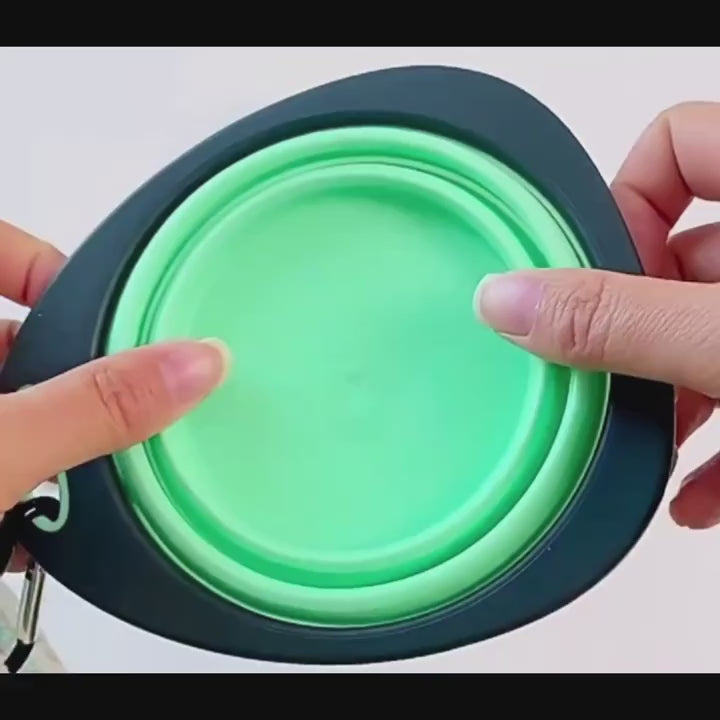 Foldable Pet Food and Water Bowl