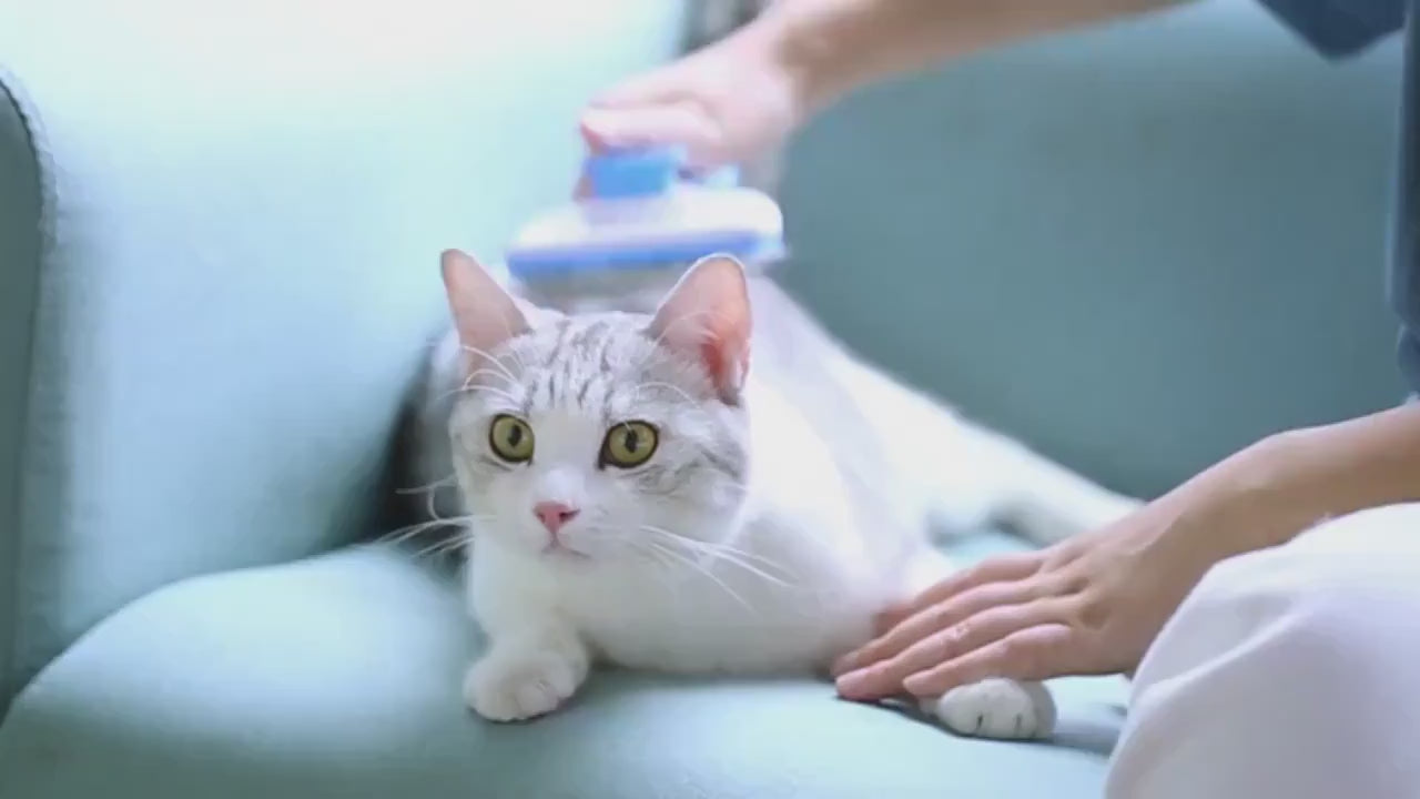 Pet Grooming Brush for Dogs and Cats